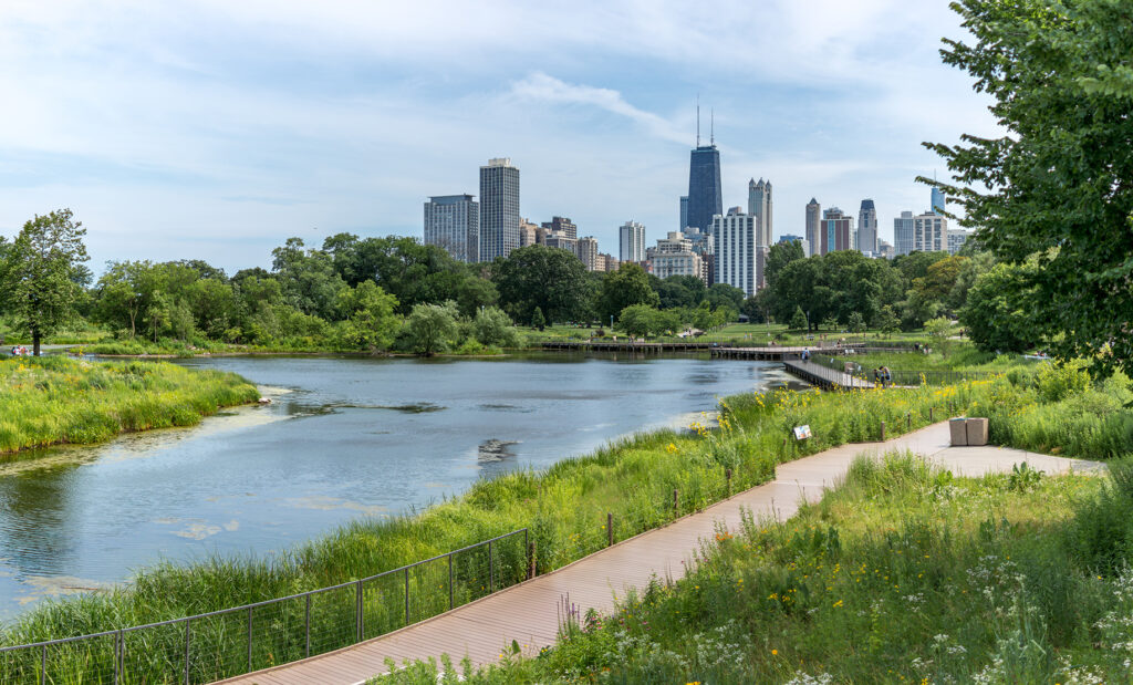 Pond at Chicago's Lincoln park